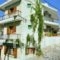 Eleni Studios_accommodation_in_Hotel_Sporades Islands_Alonnisos_Alonissos Chora