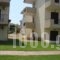 Alkioni by the sea_best deals_Apartment_Macedonia_Halkidiki_Siviri