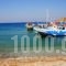 Aphrodite Studios_holidays_in_Hotel_Dodekanessos Islands_Kalimnos_Kalimnos Rest Areas