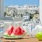 Adriani Studios_holidays_in_Hotel_Cyclades Islands_Naxos_Naxos chora