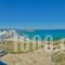 Adriani Studios_travel_packages_in_Cyclades Islands_Naxos_Naxos chora