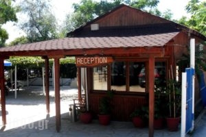 Alikes_best deals_Room_Macedonia_Halkidiki_Chalkidiki Area