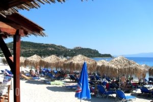 Alikes_best prices_in_Room_Macedonia_Halkidiki_Chalkidiki Area