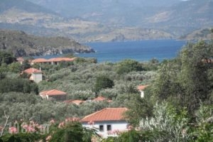 Irini Studios_accommodation_in_Hotel_Aegean Islands_Lesvos_Petra