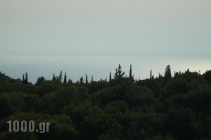 Alexia Ferentinou_accommodation_in_Hotel_Ionian Islands_Kefalonia_Lixouri