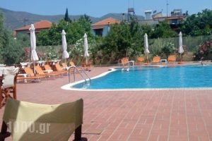 Meni Studios_best prices_in_Hotel_Aegean Islands_Thasos_Limenaria