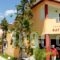 Hotel Odyssion_best prices_in_Hotel_Ionian Islands_Lefkada_Vasiliki