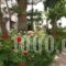 Classic Apartments_holidays_in_Apartment_Crete_Heraklion_Gouves