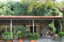 Karatsis in Agistri Chora, Agistri, Piraeus Islands - Trizonia