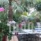 Olive Tree Cottages_best prices_in_Hotel_Crete_Chania_Palaeochora