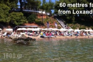 Loxandra Studios_best deals_Hotel_Macedonia_Halkidiki_Poligyros