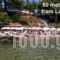 Loxandra Studios_best deals_Hotel_Macedonia_Halkidiki_Poligyros