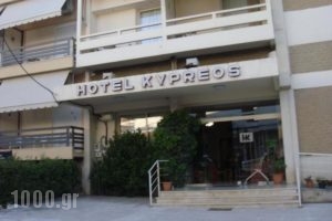 Kypreos_accommodation_in_Hotel_Central Greece_Fthiotida_Kamena Vourla