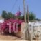 Pelagos Bay_best deals_Hotel_Ionian Islands_Kefalonia_Skala