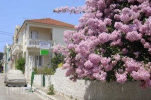 Kyknos_best prices_in_Apartment_Ionian Islands_Kefalonia_Argostoli