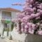 Kyknos_best prices_in_Apartment_Ionian Islands_Kefalonia_Argostoli