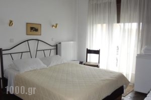Acropolis Hotel_best deals_Hotel_Aegean Islands_Thasos_Thasos Chora