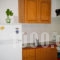 Elena's Rooms_lowest prices_in_Apartment_Peloponesse_Arcadia_Levidi