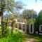 Elena's Rooms_best deals_Apartment_Peloponesse_Arcadia_Levidi