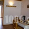 Elena's Rooms_best prices_in_Apartment_Peloponesse_Arcadia_Levidi