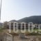 Calypso_best deals_Apartment_Ionian Islands_Lefkada_Vasiliki