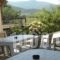 Philoxenia Hotel_travel_packages_in_Aegean Islands_Thasos_Thasos Chora