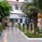 Vasilakis Studios & Apartments_travel_packages_in_Crete_Heraklion_Malia