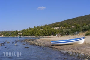 Villa Asterianna_travel_packages_in_Macedonia_Halkidiki_Poligyros