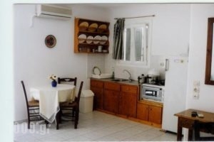 Evagelia's Place_accommodation_in_Room_Cyclades Islands_Mykonos_Agios Ioannis