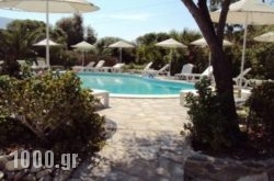 Onira Studios in Agnondas, Skopelos, Sporades Islands