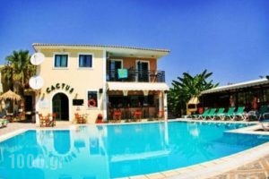 Cactus_best prices_in_Apartment_Ionian Islands_Zakinthos_Laganas