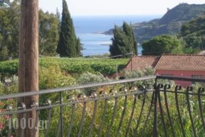 Nerissa Apartments_lowest prices_in_Room_Ionian Islands_Kefalonia_Kefalonia'st Areas