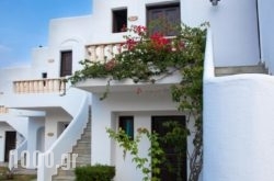 Horizon Beach in Naxos Chora, Naxos, Cyclades Islands