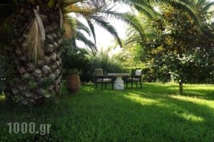 Giardino Studios_travel_packages_in_Ionian Islands_Corfu_Ypsos