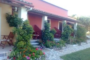 Giardino Studios_best deals_Apartment_Ionian Islands_Corfu_Ypsos