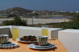 Perla_lowest prices_in_Apartment_Cyclades Islands_Naxos_Agios Prokopios