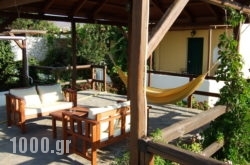 Tzane in Daratsos, Chania, Crete