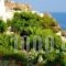 Margarita Hotel_best prices_in_Hotel_Piraeus islands - Trizonia_Kithira_Kithira Chora