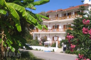 Kostas Studios_accommodation_in_Room_Ionian Islands_Lefkada_Vasiliki