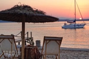 Venus Beach Hotel_best prices_in_Hotel_Central Greece_Attica_Rafina