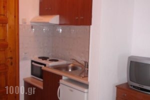 Venia Apartments_best deals_Apartment_Macedonia_Halkidiki_Kassandreia