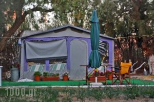 Creta Camping_travel_packages_in_Crete_Heraklion_Gournes