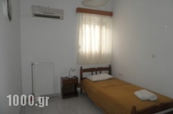 Alexia Apartments & Studios in Alykes, Zakinthos, Ionian Islands