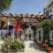 Tinos-Peristerionas_travel_packages_in_Cyclades Islands_Tinos_Agios Fokas