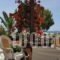 Tinos-Peristerionas_holidays_in_Room_Cyclades Islands_Tinos_Agios Fokas