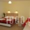 Jason Studios & Apartments_best deals_Apartment_Cyclades Islands_Naxos_Naxos Chora