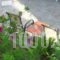 Creta Vassakis Studios_best prices_in_Hotel_Dodekanessos Islands_Kos_Kos Rest Areas