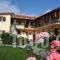 Lefki Studios_accommodation_in_Hotel_Ionian Islands_Kefalonia_Kefalonia'st Areas