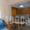 Fotini Apartments_best prices_in_Apartment_Crete_Lasithi_Palaekastro