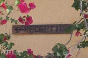 Villa Galini_best prices_in_Villa_Crete_Lasithi_Aghios Nikolaos